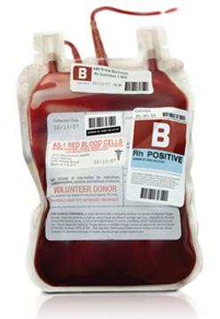 blood