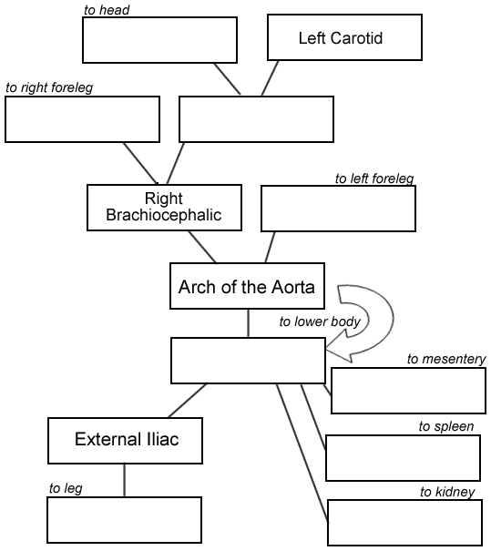 HW Help Wrestling Forum