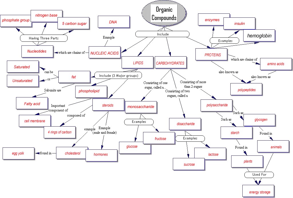 concept map