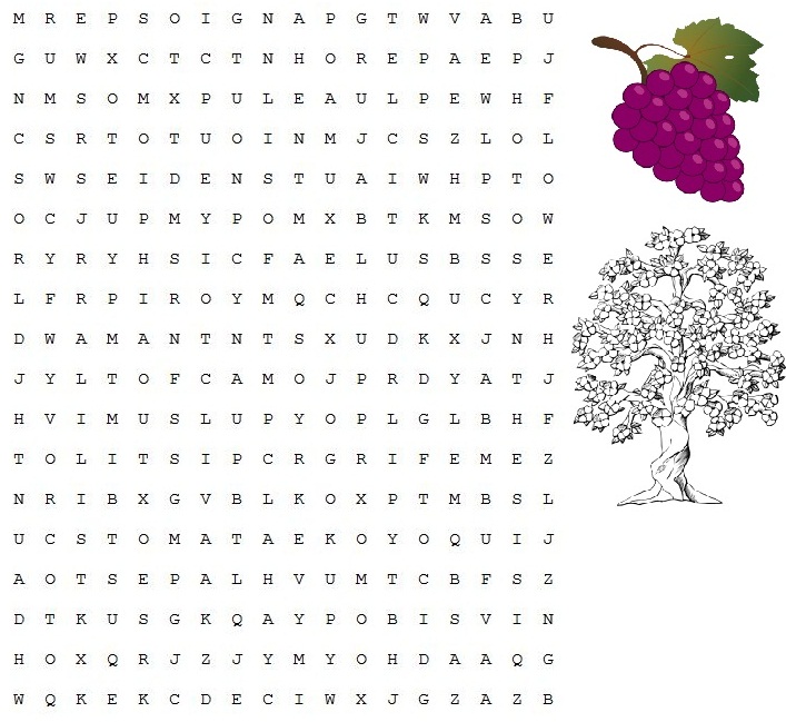 word search