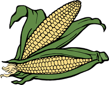 corn