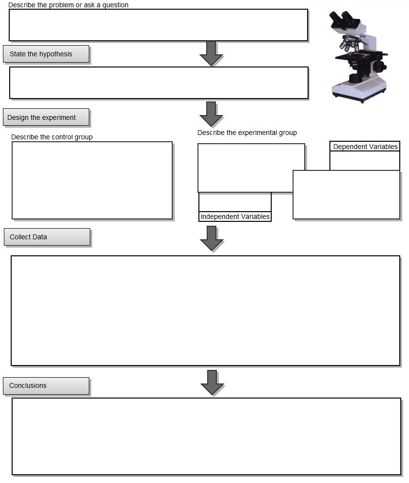 graphic organizer