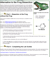 page thumbnail