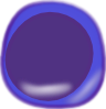 lymphocyte