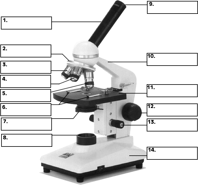 microscope diagram