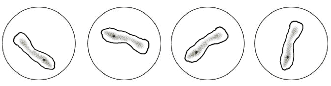 para