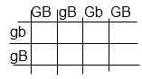 punnett square