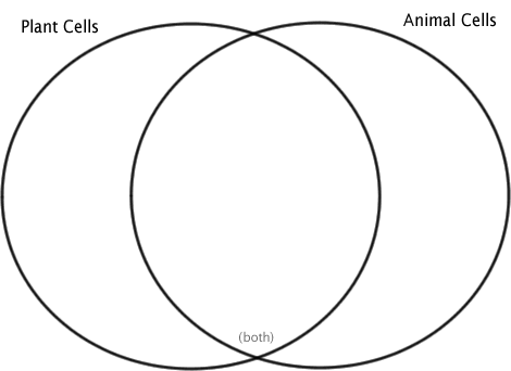 Fill out the Venn Diagram below showing how plant cells and animals cells 