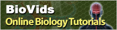 biovids234x60