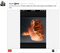 googleplus_sharing2