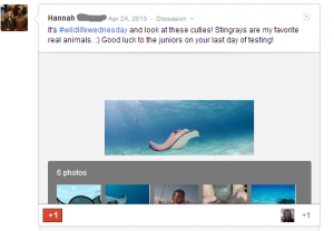 hashtag_wildlife