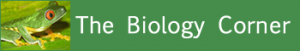 The Biology Corner