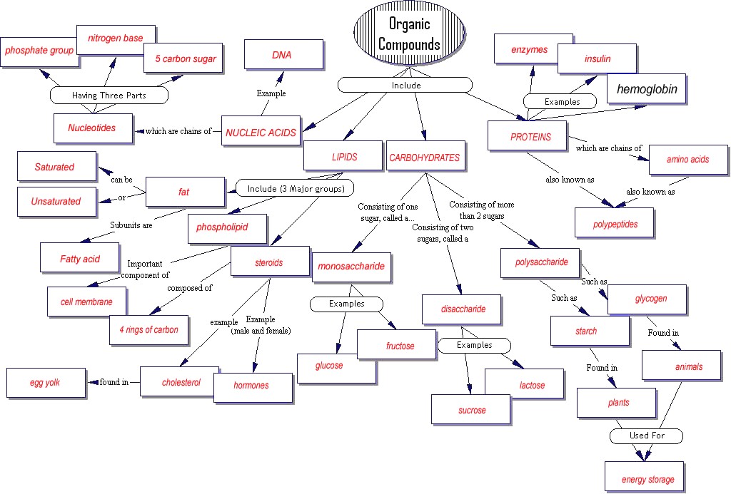 Campus Map Artery Concept Map Answer Key Biology Corner