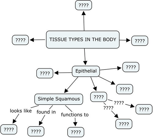 concept map on body tissues Tissue Concept Map concept map on body tissues