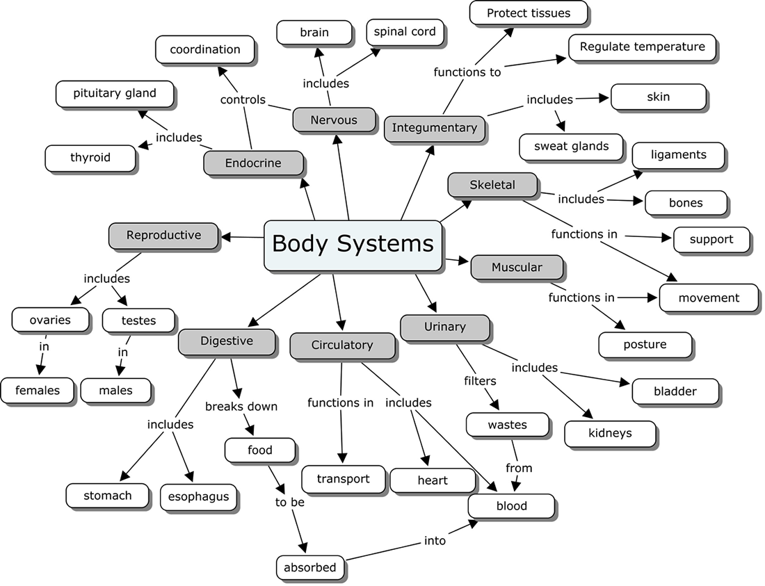 organ-systems-concept-map