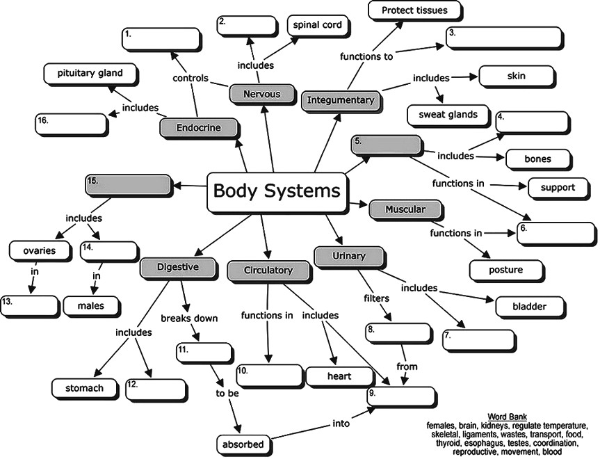 concept map