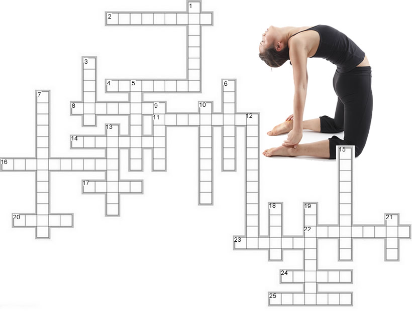 Muscle Anatomy Crossword