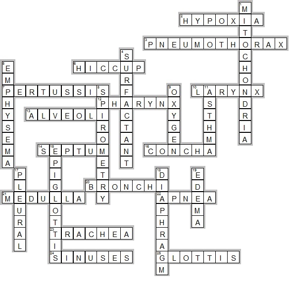 circulatory-system-crossword-puzzle