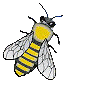 bee