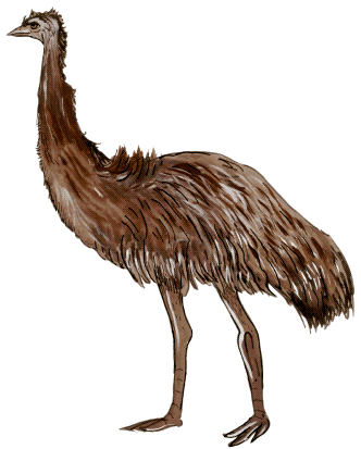 emu