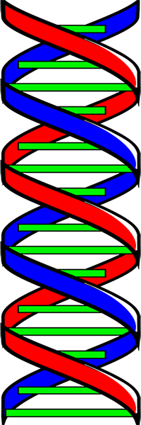 DNA