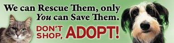 adopt
