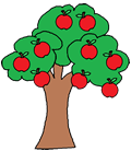 apple tree