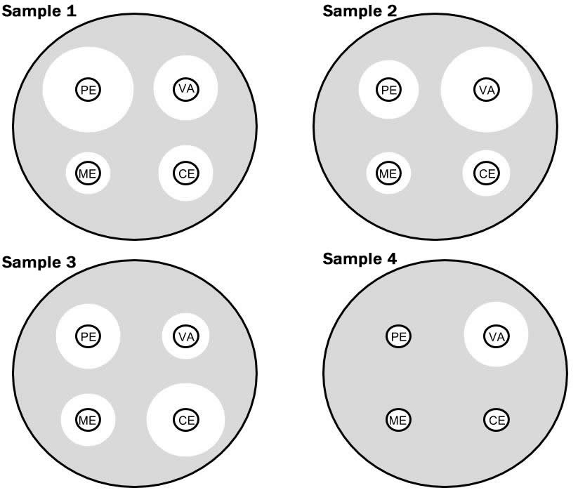 case study bacteria answers