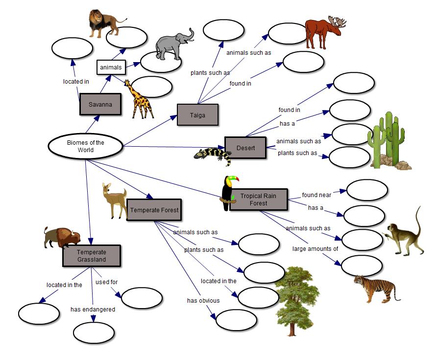 Biomes Concept Map Answer Key Biome Concept Map Fill in the Blank