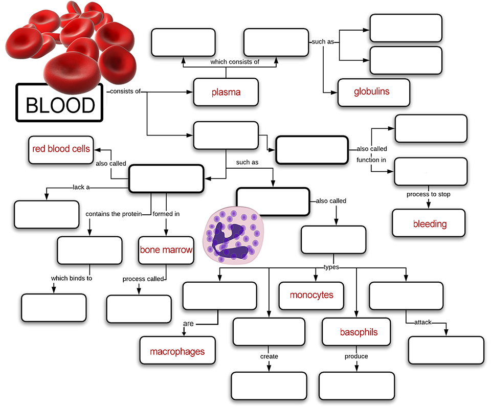 concept map