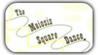 meiosis square dance