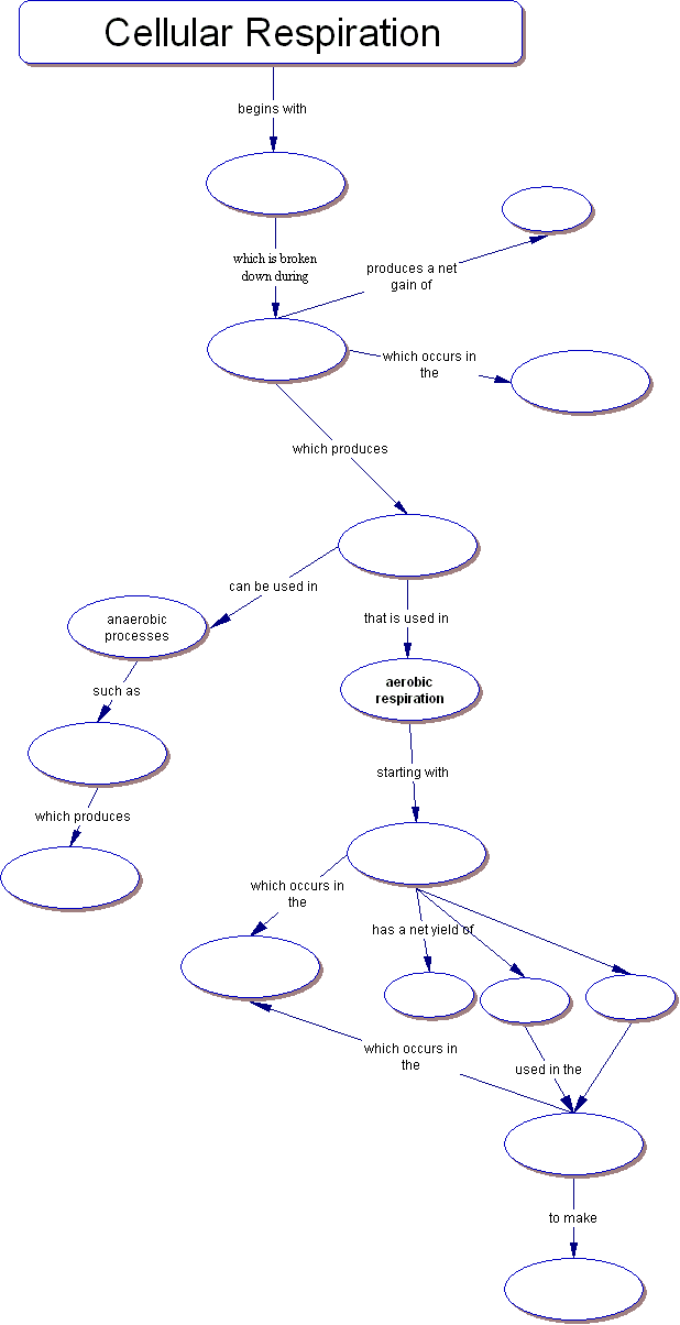 cellular respiration concept map