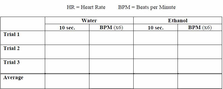 Average Heart Beat Per Minute Chart