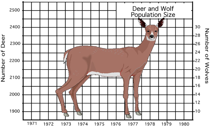 Deer And Wolf Population Worksheet Answers Worksheet List