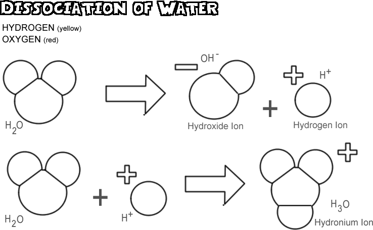 dissociation of water