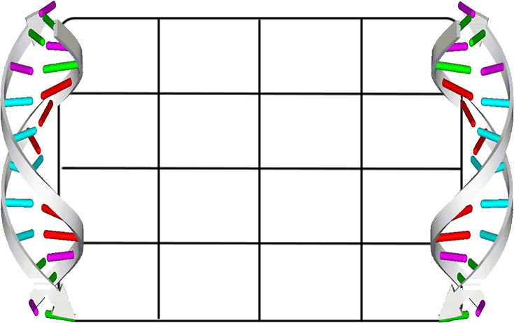 blank bingo
