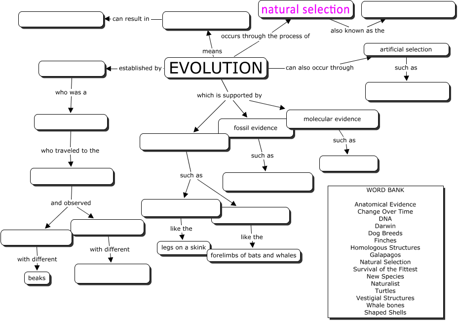 concept map