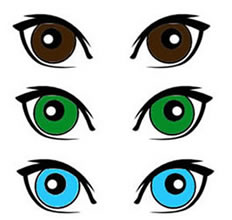 Dominant And Recessive Eye Color Chart