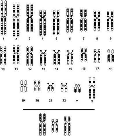 find homolog