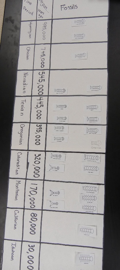 Fossil Record Chart