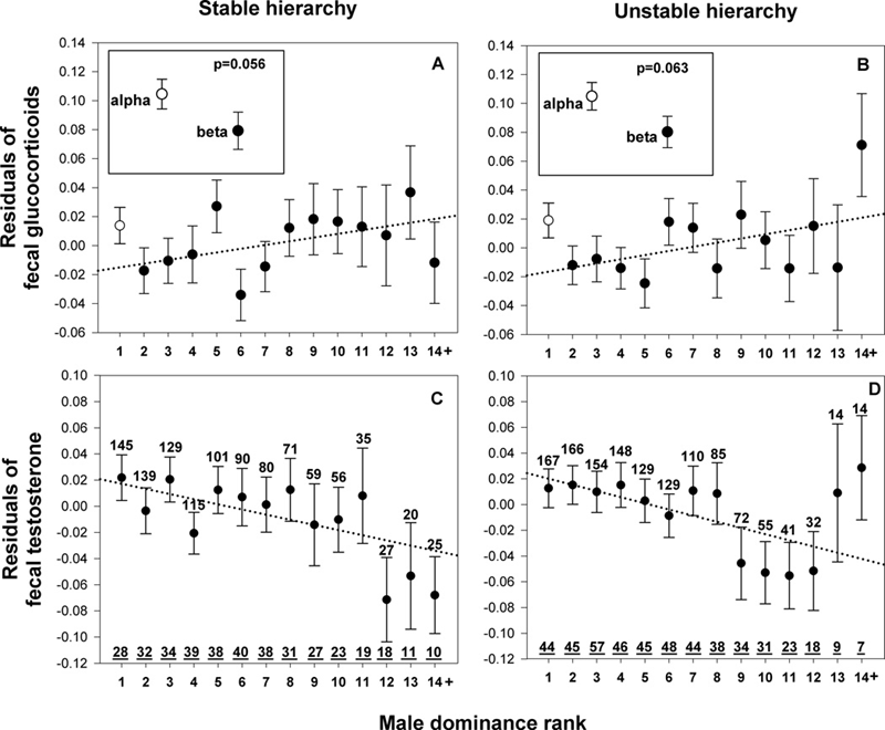 graph social hierarchy