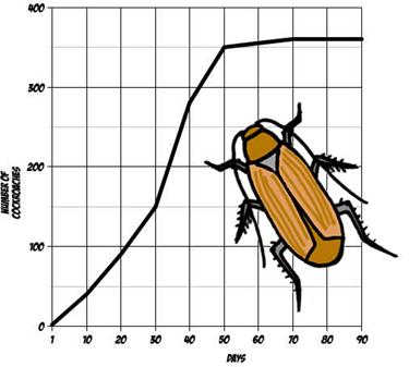graph cockroach