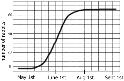 rabbits graph