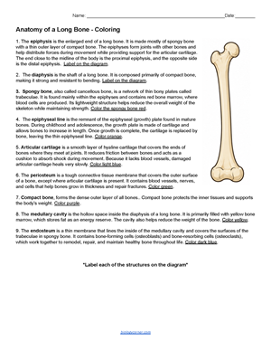 worksheet page 1