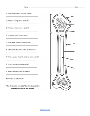 worksheet page 2