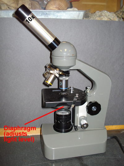 microscope