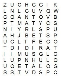 wordsearch