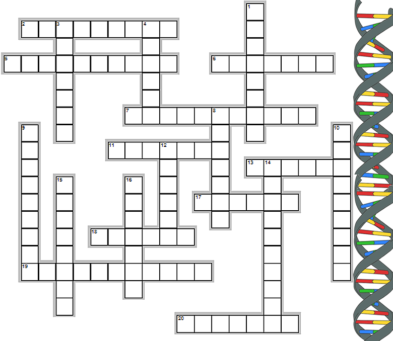 Biochemistry Crossword Puzzle Answer Key Ninetmanualidades Biochemistry Crossword Puzzle Answer Key Ninetmanualidades
