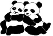 panda pair