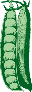 pea pod